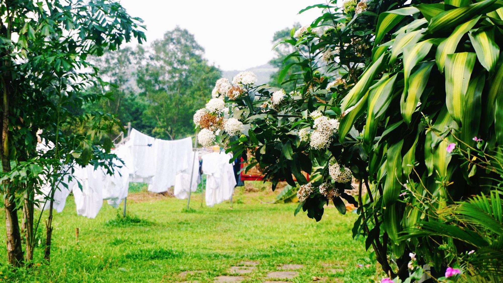 Phong Nha Eco Village Екстер'єр фото