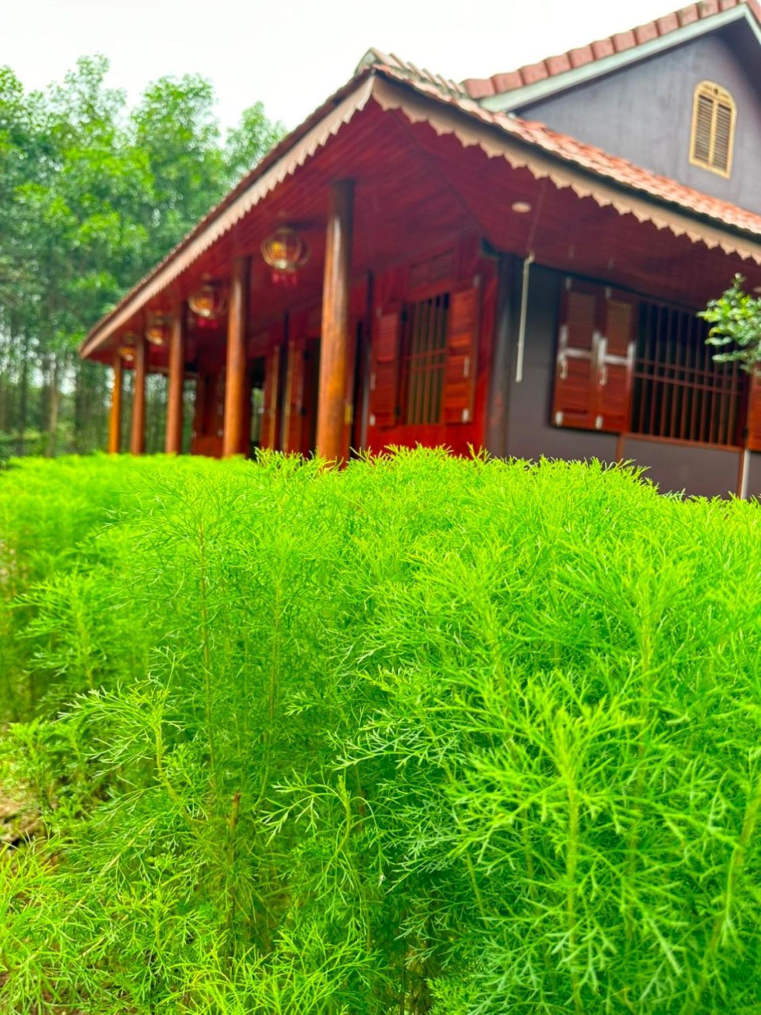 Phong Nha Eco Village Екстер'єр фото
